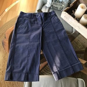 Loft Ann Taylor Petites Bermuda shorts blue